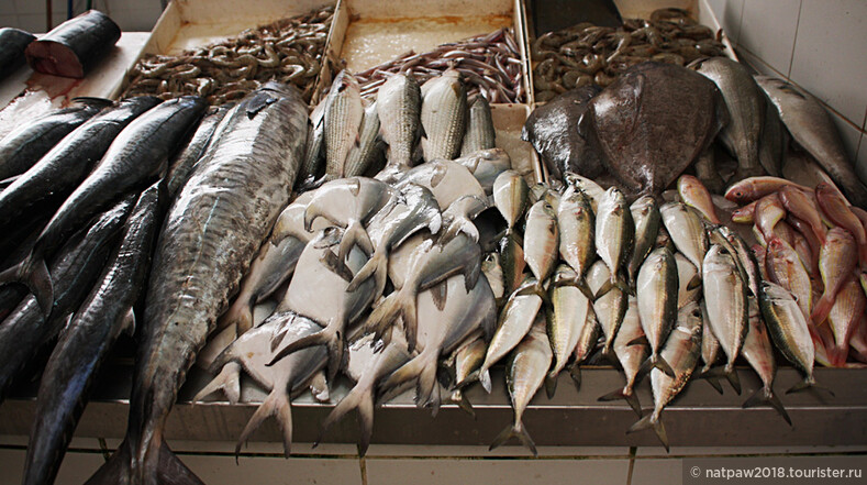 Рыбный рынок в Аджмане