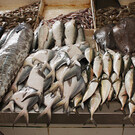 Рыбный рынок в Аджмане