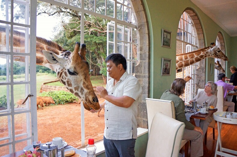 Завтрак с жирафами: фото самого удивительного отеля в мире (ваша первая реакция - хочу, хочу, хочу!)