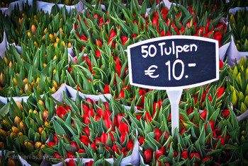 Массовый обман раскрыли на плавучем цветочном рынке в Амстердаме