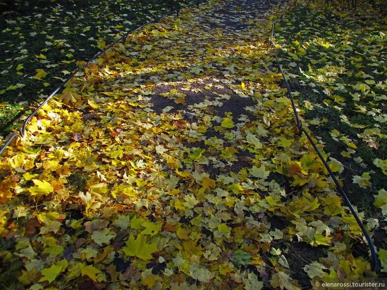 Анна Ахматова называла прогулки по таким дорожкам пойти пошуршать листвой. Это было в Комарово. Но неважно где ты предаешься радости уединения под покровом тихого осеннего дня.