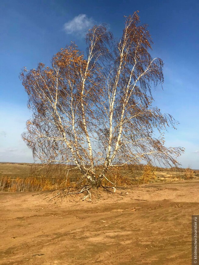 Золотая осень с марсианскими пейзажами