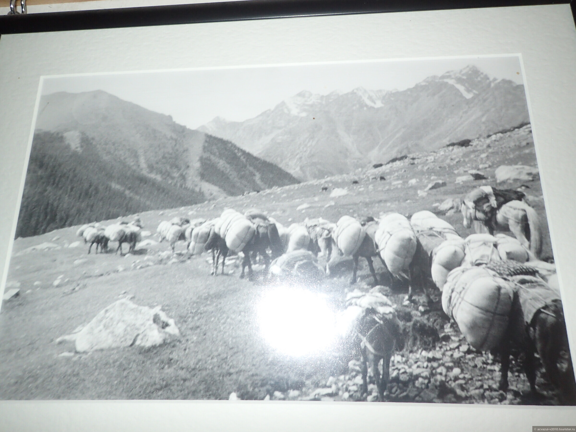 Северо-западный спуск с перевала Кашка-Суу. Караван с шерстью из Китая идет уже 26 дней из Кашгара. Каждый груз весит 80 кг