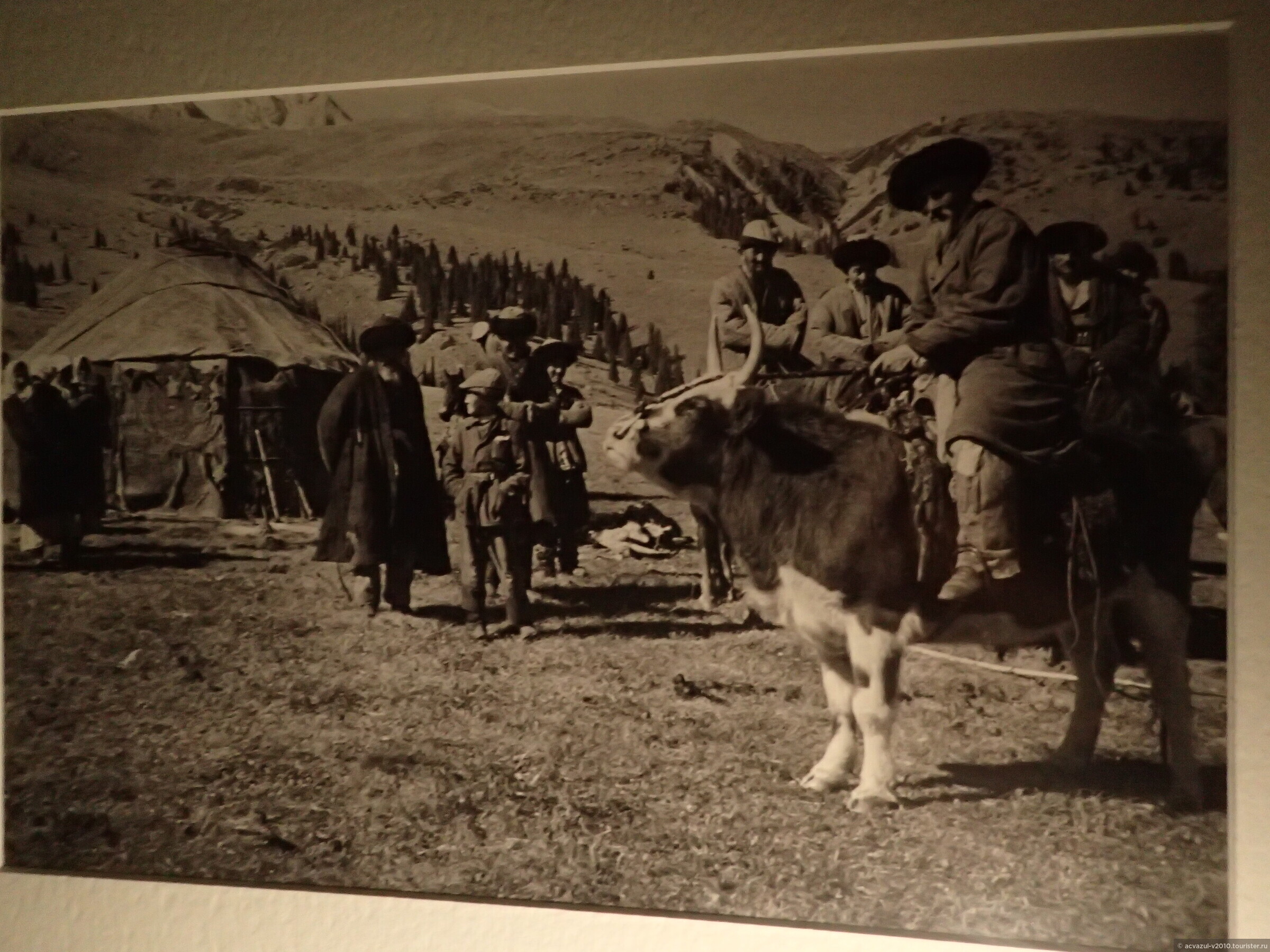 Старик на воле показывает путешественникам дорогу. В горах Кунгей Ала-Тоо. Ак-Суу