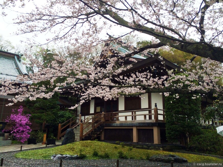 4-ый день в Японии. Поездка в Камакуру, Великий Будда, Цуругаока Хатимангу и суши