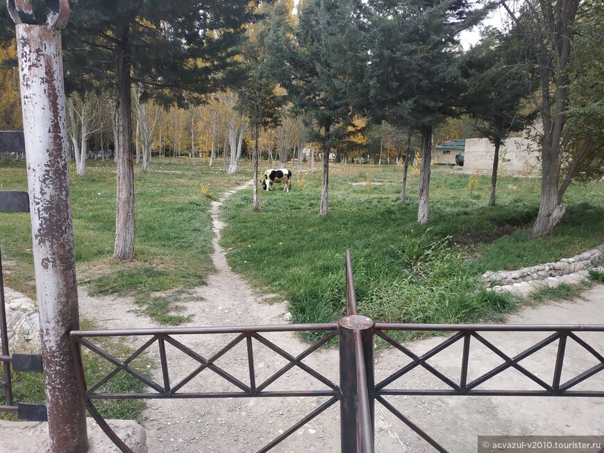 Талас — медвежий угол северо-запада Киргизии