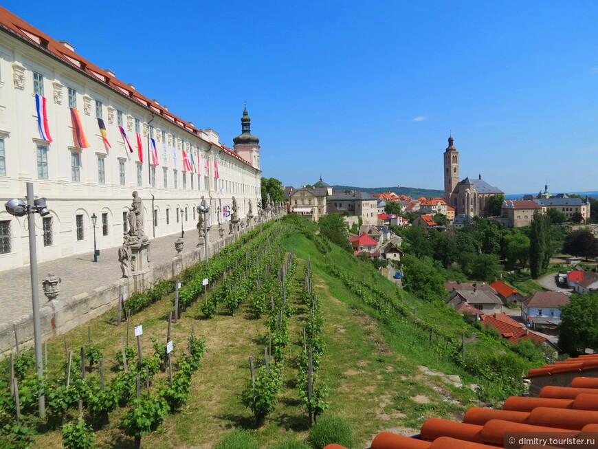 Кутна Гора — край богатый, серебро гребут лопатой