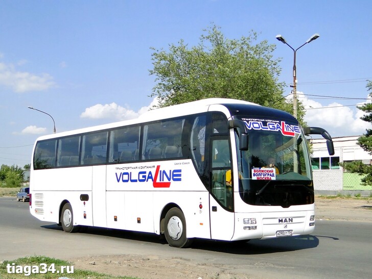 Автобус Москва — Скопин