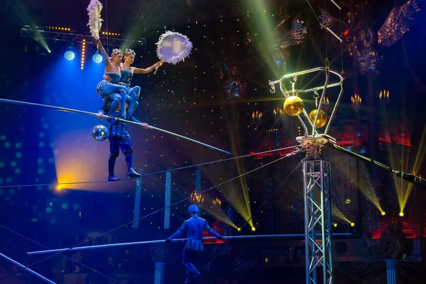Владивостокский цирк