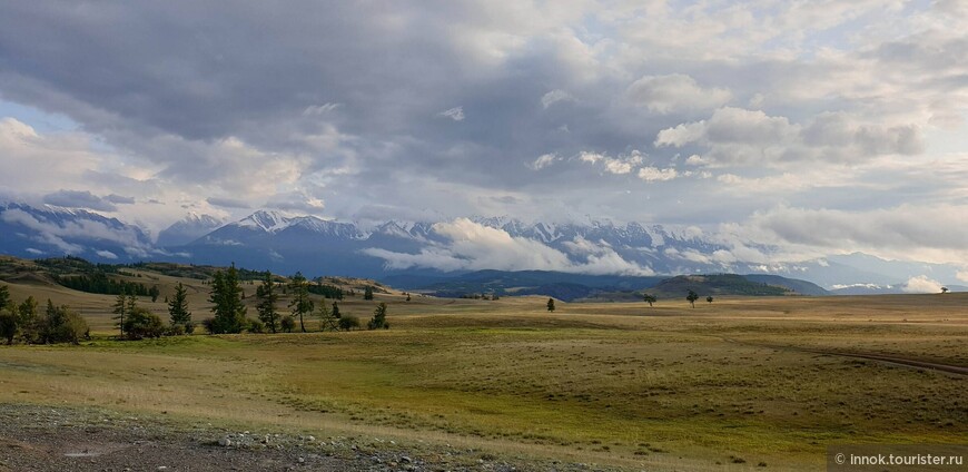 Курайская степь