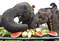Сколько весит слон? и 13 других интересных фактов о самых больших животных на земле
