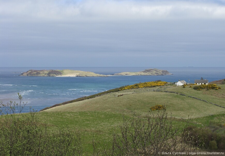 Северное побережье Шотландии полностью состоит из пастбищ