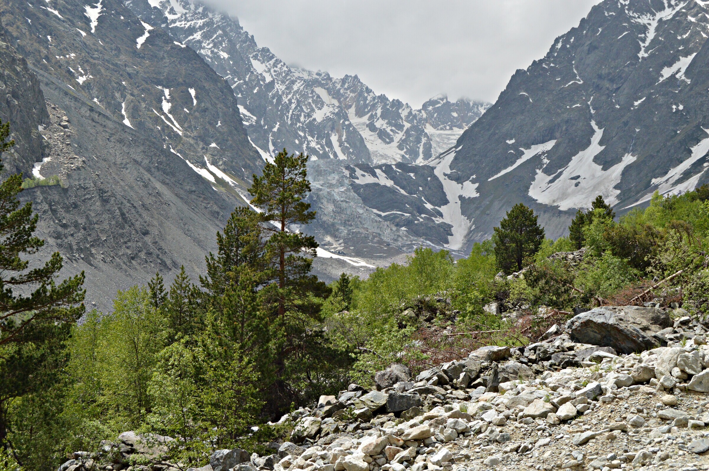 Леса осетии. Цейское ущелье Северная Осетия. Ущелье цей Осетия. Гора цей Северная Осетия. Цейский ледник и ущелье в Северной Осетии.