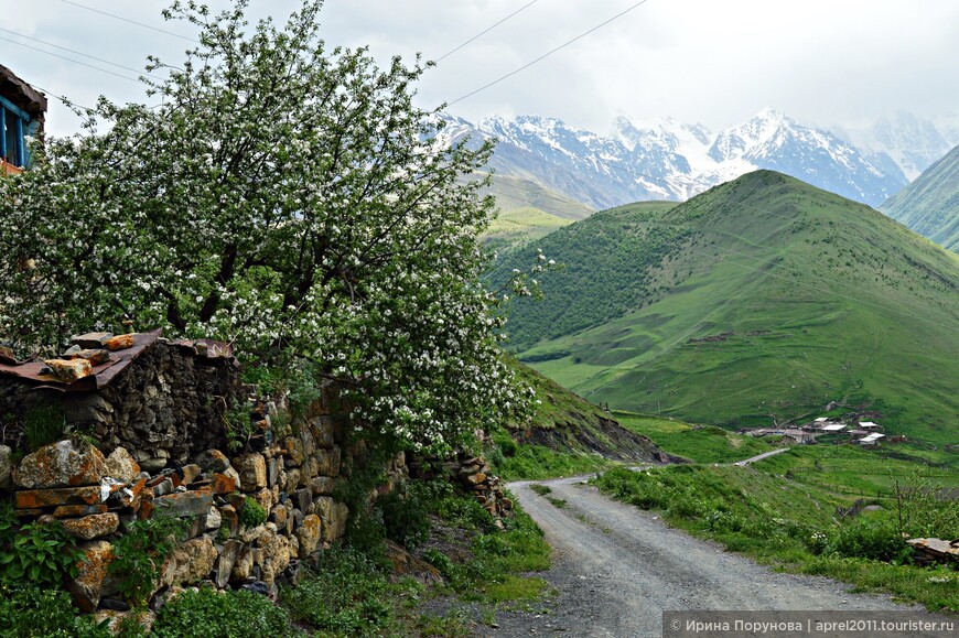 Улица в селе Камунта