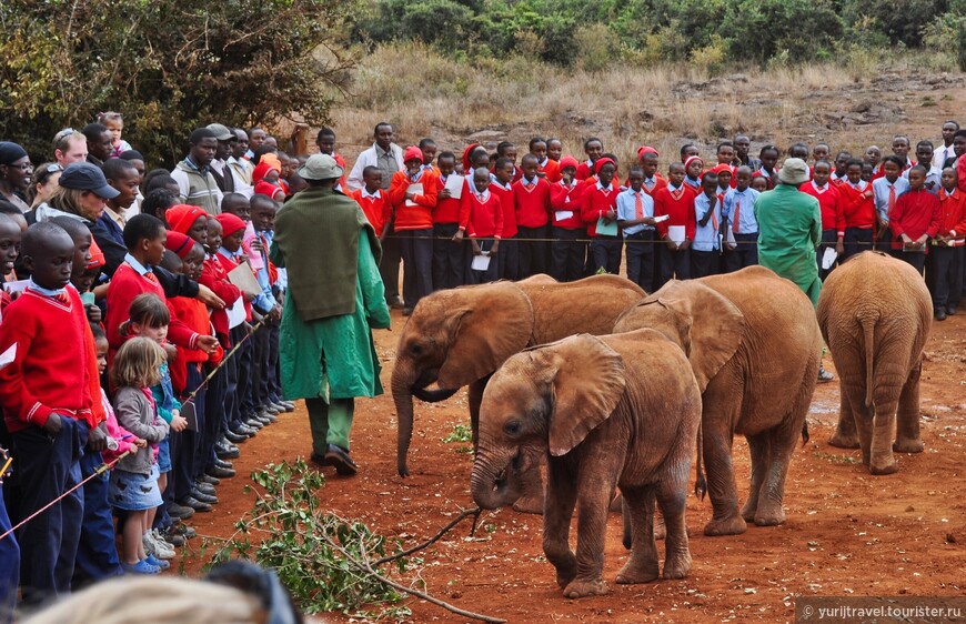 Долгая дорога к гориллам Уганды. Ч. 1 — Кения. Знакомство с Найроби