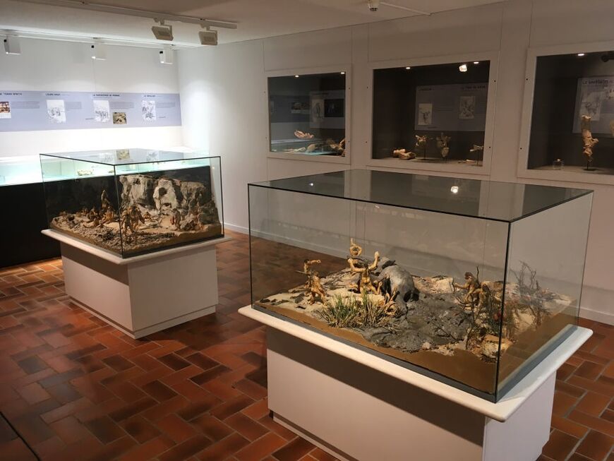 Палеонтологический музей «Терра Амата»