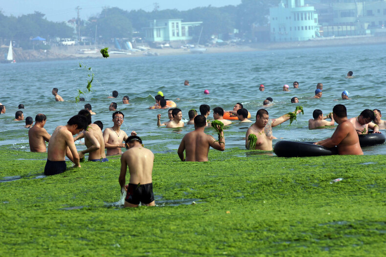 Фото беспощадного отдыха в Китае: 10 000 человек в одном бассейне (веселье через край — в прямом и переносном смысле)