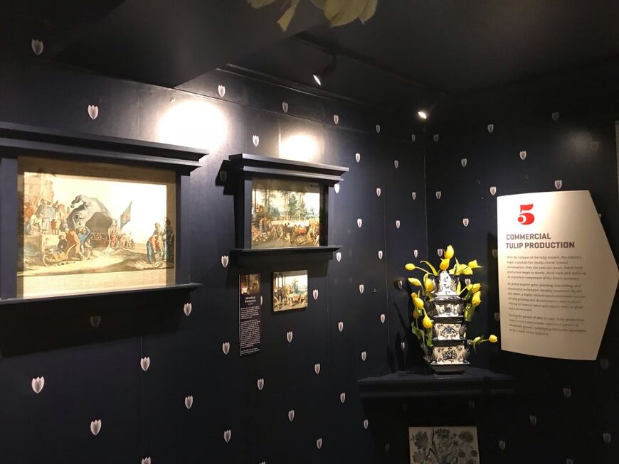 Музей тюльпанов<br/> в Амстердаме