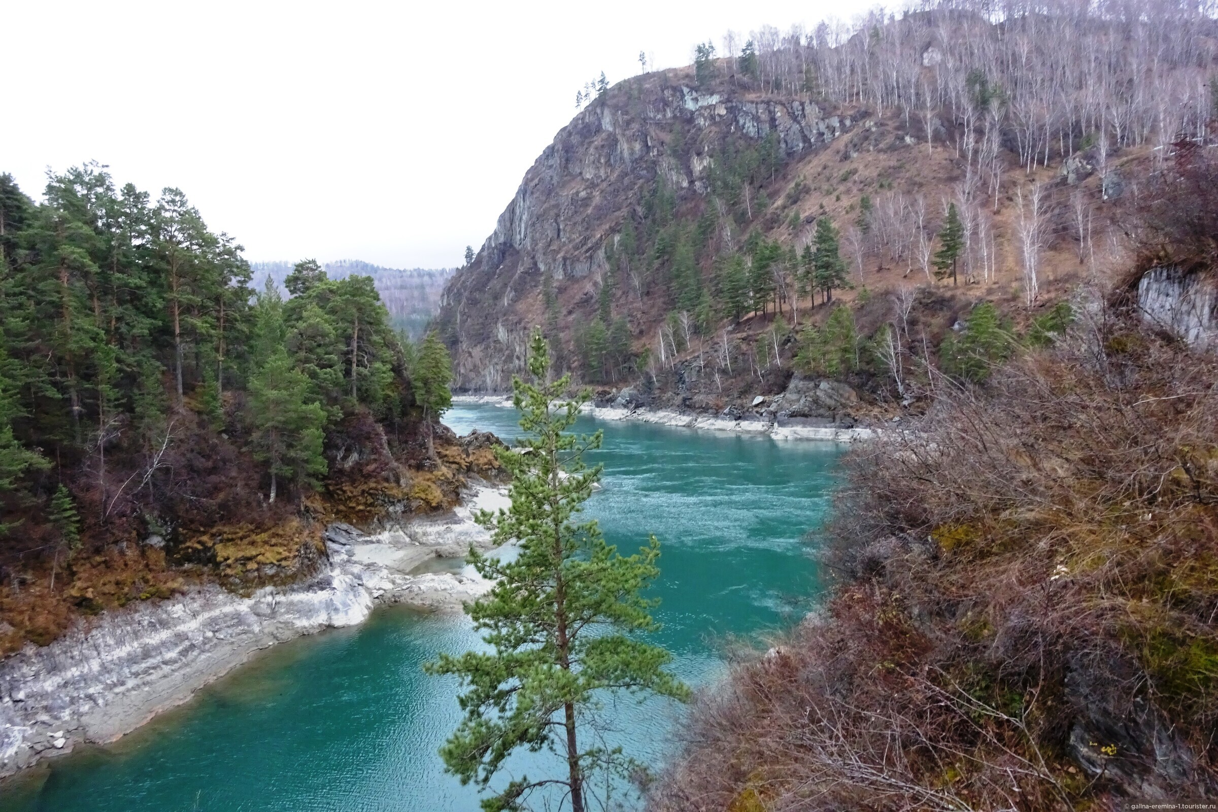 Река Катунь впадает в Чемал