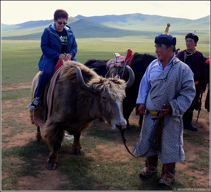Почему Монголия?