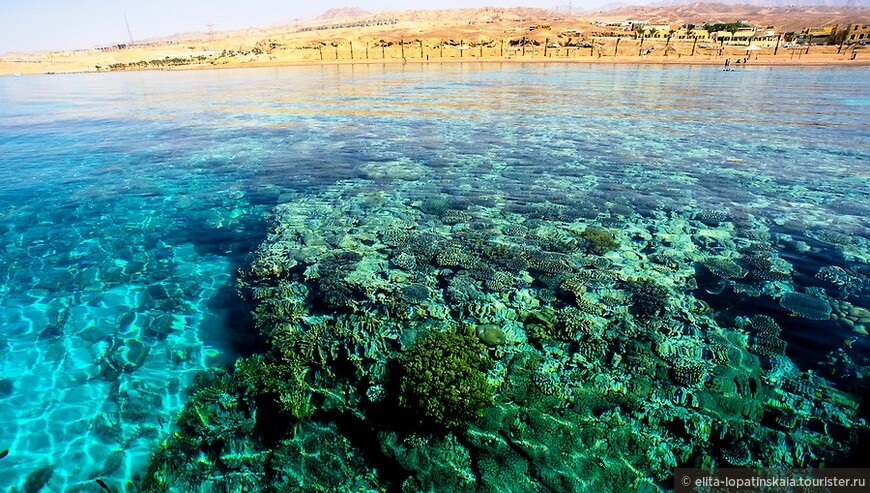 «Red sea — Dead sea» и вечные вопросы