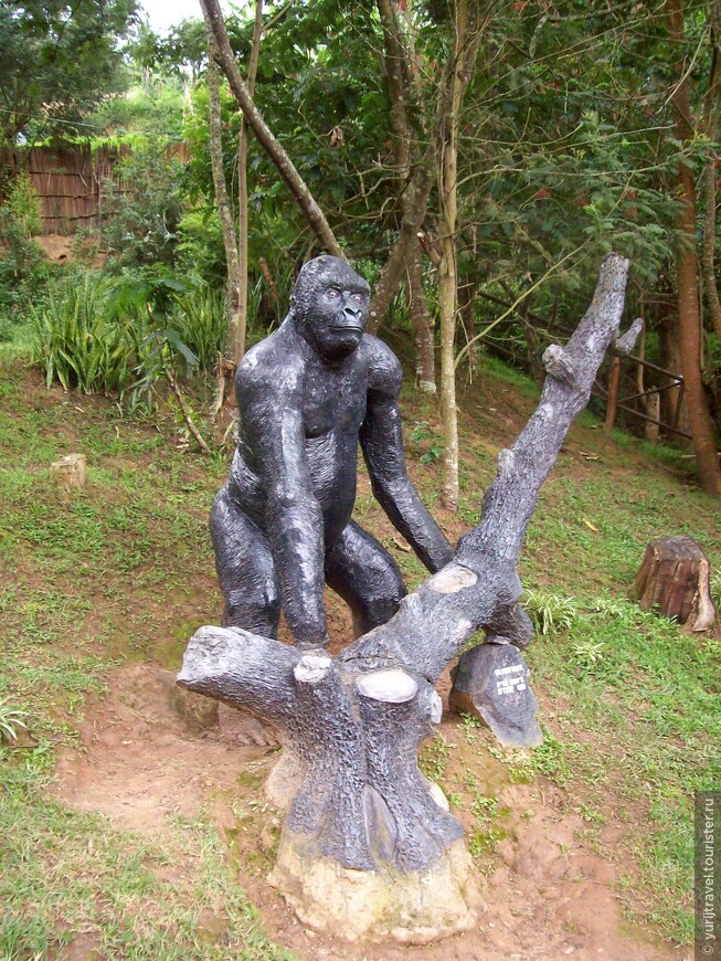 Долгая дорога к гориллам Уганды. Ч.6 — Конец пути на озере Буньони 