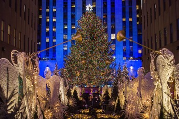 В Нью-Йорке уже установили главную рождественскую ель (видео)