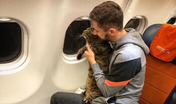 Аэрофлот исключил из программы лояльности пассажира за перевозку толстого кота