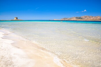 Популярный пляж на Сардинии будет платным для туристов