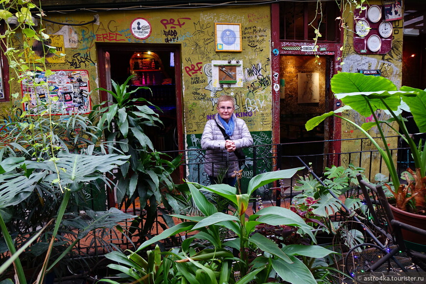 Хлам, руины и коты — необычные бары Будапешта