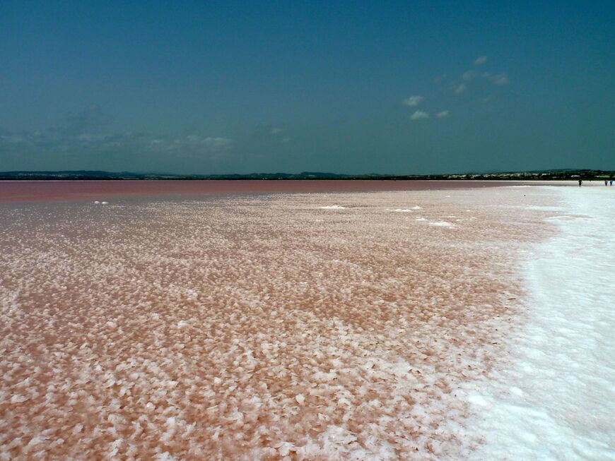 Розовое озеро в Торревьехе