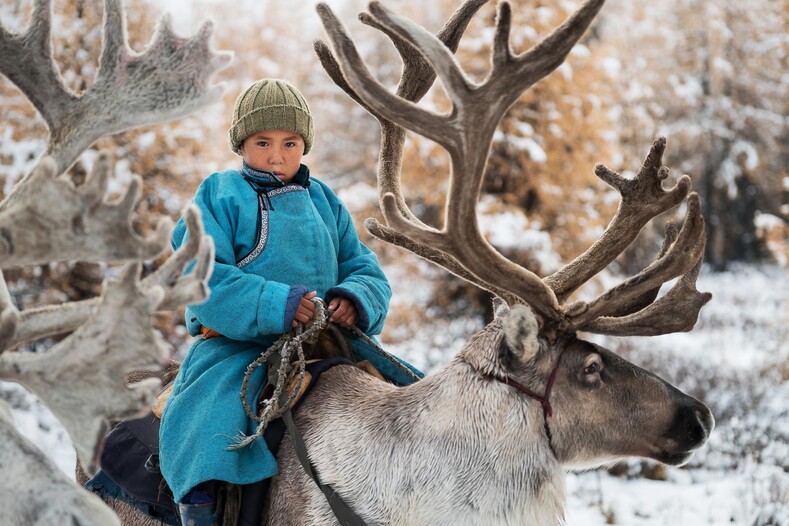 Жизнь вне цивилизации, среди оленей и бесконечных степей Монголии: фото племени оленеводов-кочевников, которое вот-вот исчезнет