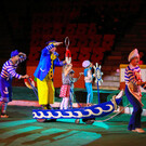 Костромской цирк
