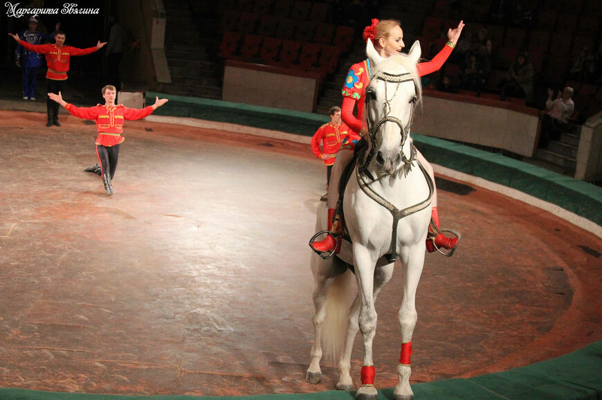 Цирк в Костроме