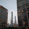 Башня Шанхая и Всемирный финансовый центр