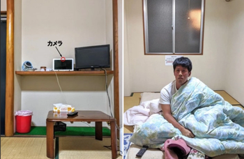 Отель в Японии предлагает пожить у всех на виду всего за 1 доллар  