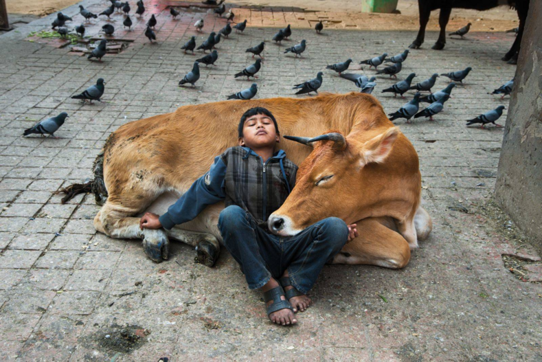 Снимки для миллиона лайков: фото о крепкой дружбе и духовной связи между животным и человеком