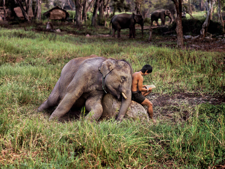 Снимки для миллиона лайков: фото о крепкой дружбе и духовной связи между животным и человеком