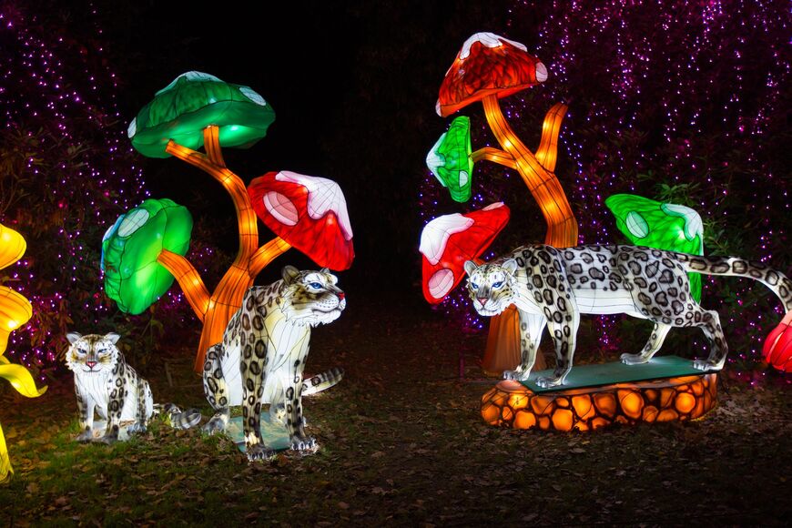 Светящиеся скульптуры с фестиваля «Thoiry Wild Lights»