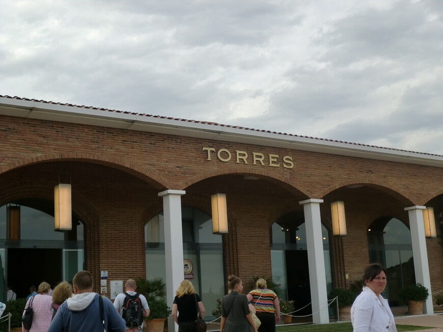 Посещение винодельни Торрес. Испания