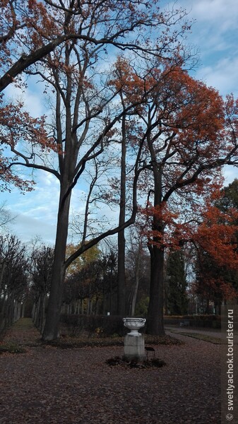 Один солнечный октябрьский день в Павловске