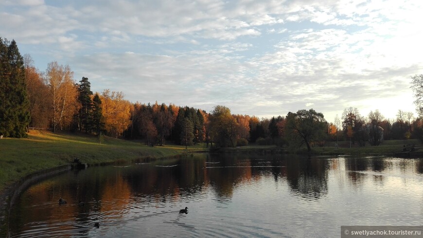 Один солнечный октябрьский день в Павловске
