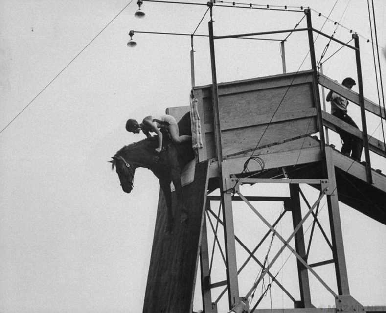 Опасные «забавы» американцев: как лошадь вместе с наездником падала в воду с 18-метровой высоты (архивные фото XX века)