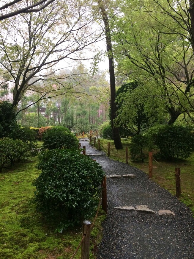 7-ой день в Японии. Поездка в Киото, танцы гейш — Мияко Одори, Золотой павильон, Сад камней