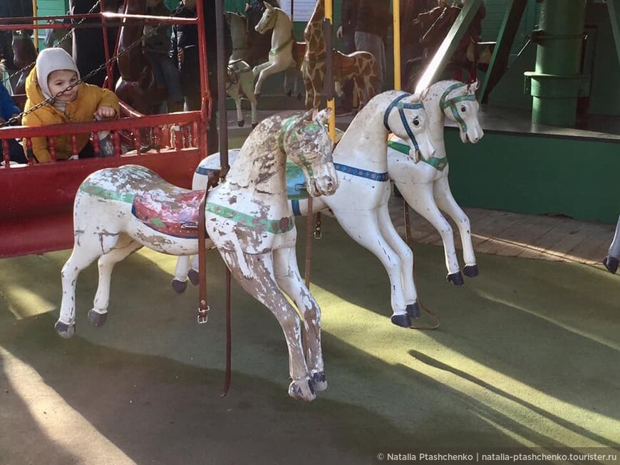 Эти лошадки видали не одно поколение в Люксембургском саду