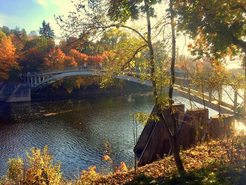 Золотая осень в городе Огре, Латвия