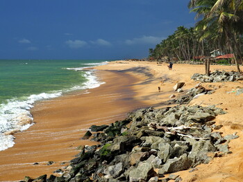 Туристов предупредили о мошенничестве при оформлении виз Шри-Ланки