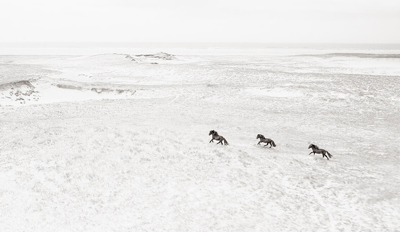 В царстве легенд: невероятно красивые исландские лошади в фотографиях Drew Doggett