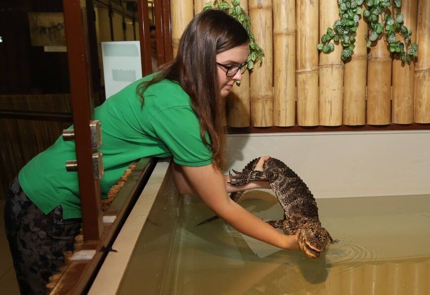 Крокодиловый зоопарк<br/> в Праге