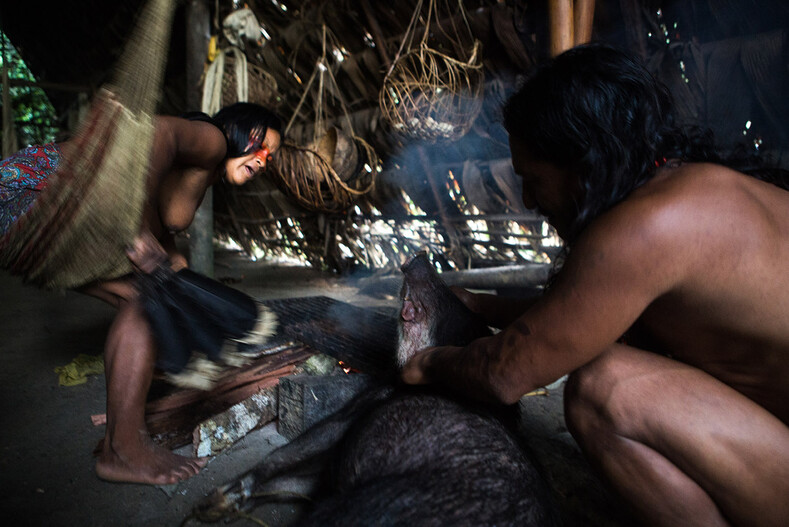 На грани исчезновения: фото о том, как живут дикие племена Амазонки